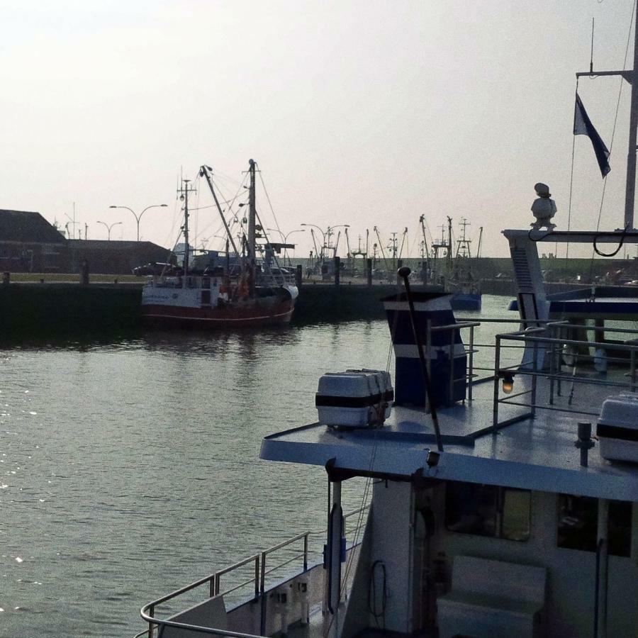 Haus Tertius - Strand- Und Hafennahe Ruhige Ferienwohnung Büsum Exteriör bild
